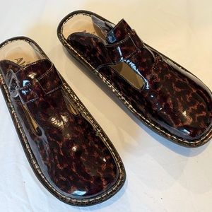 Algeria Classic Tortoise Leather Clog Size 12